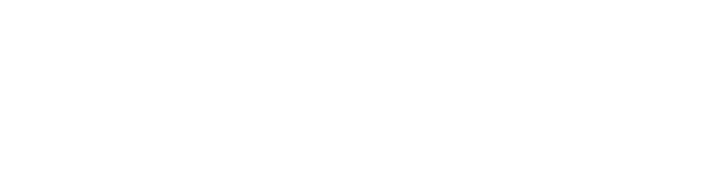 Logo wideso &ndash; Wildlife Detection Solutions