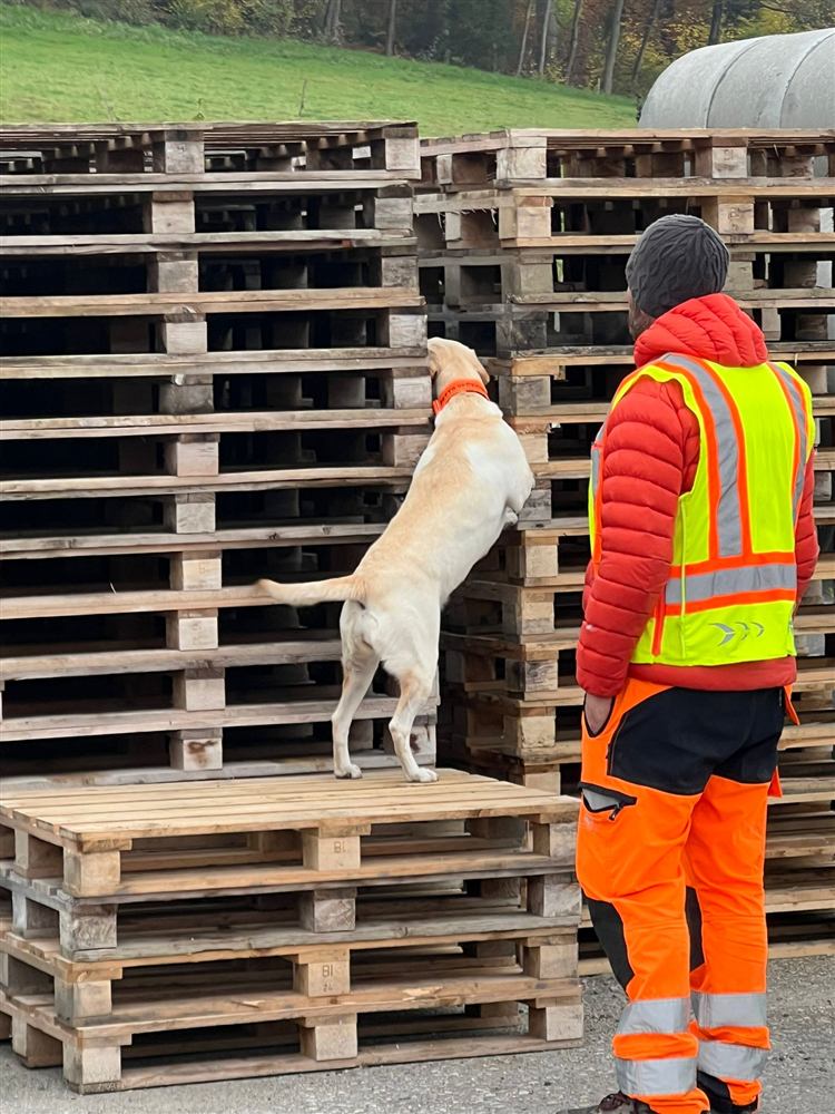 Sp&uuml;rhundeteam bei der Kontrolle eines Lagerplatzes